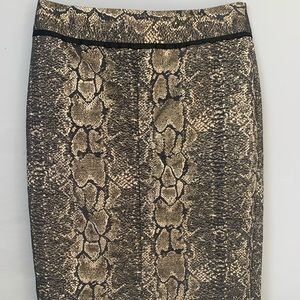 Ann Taylor pencil skirt